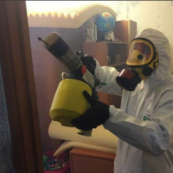 Уничтожение клопов в квартире. Азов